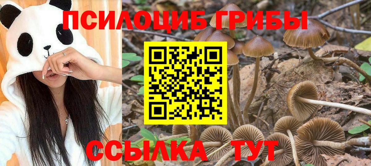 Иваново  магазин    Вход с VPN  Галлюциногенные грибы прущие грибы 